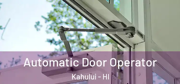 Automatic Door Operator Kahului - HI