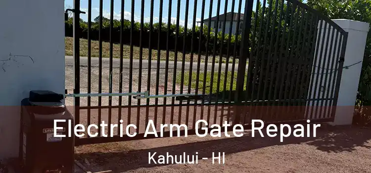 Electric Arm Gate Repair Kahului - HI