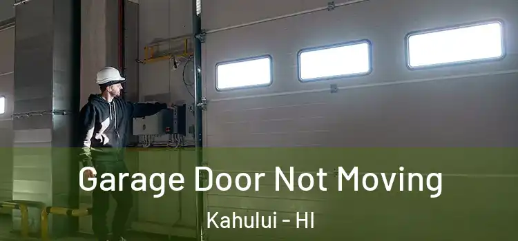  Garage Door Not Moving Kahului - HI