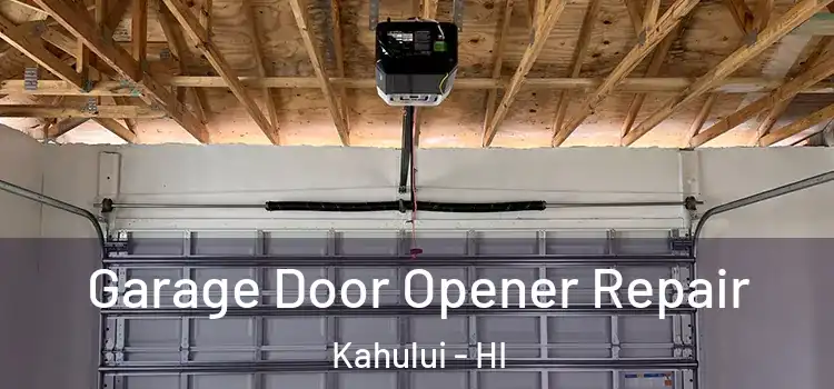  Garage Door Opener Repair Kahului - HI