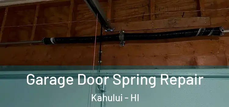  Garage Door Spring Repair Kahului - HI