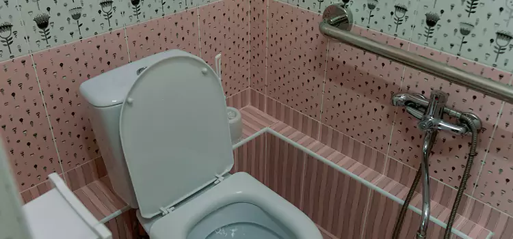 Meeting Diverse Needs With Accessible Restroom Solutions in Kahului, HI